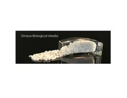 อุปกรณ์สระว่ายน้ำ ห้องอบซาวน่า Bio-Ring Media For LF Series Koi Fish Filters ยี่ห้อ EMAUX