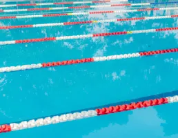 หมวดหมู่อุปกรณ์สระว่ายน้ำ กลุ่มอุปกรณ์แข่งขัน และอุปกรณ์ช่วยชีวิต