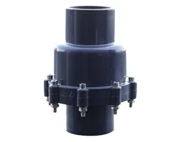 อุปกรณ์สระว่ายน้ำ ห้องอบซาวน่า สวิงเช็ควาล์ว SWING CHECK VALVE ยี่ห้อ ERA