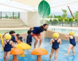 อุปกรณ์สระว่ายน้ำ ห้องอบซาวน่า WATER MUSHROOM WATER FEATURE / Flow Rate 30 gpm