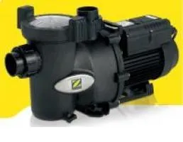 อุปกรณ์สระว่ายน้ำ ห้องอบซาวน่า ปั๊มน้ำ ZODIAC รุ่น Flopro