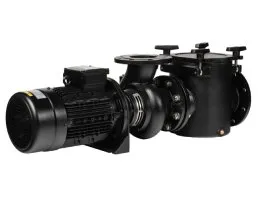 อุปกรณ์สระว่ายน้ำ ห้องอบซาวน่า ปั๊มน้ำเหล็กหล่อ ASTRAL รุ่น ARAL PLUS C-3000