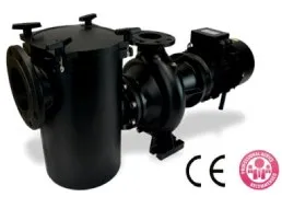 อุปกรณ์สระว่ายน้ำ ห้องอบซาวน่า ปั๊มน้ำเหล็กหล่อ ASTRAL รุ่น ARAL PLUS C-1500